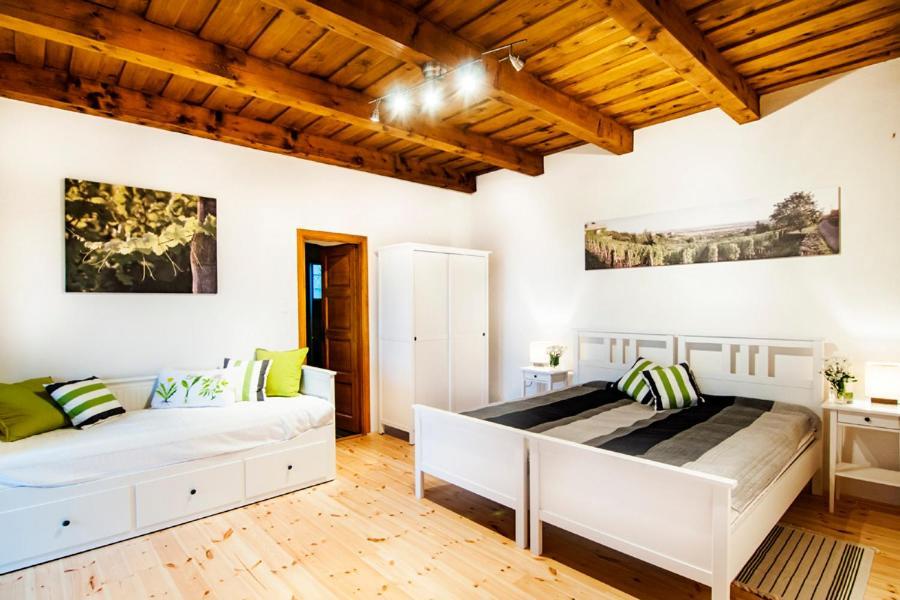 Sed Pince Vendeghaz Aparthotel Somlojeno Exterior photo