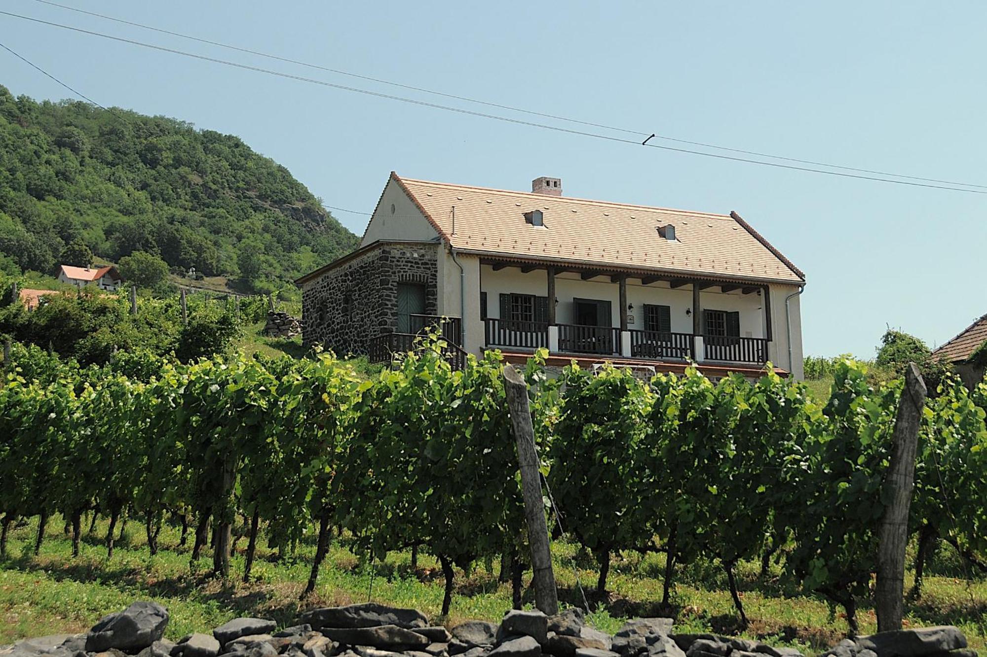 Sed Pince Vendeghaz Aparthotel Somlojeno Exterior photo
